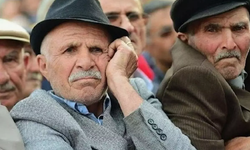 Türkiye'de emekli sayısı arttı, çalışan sayısı azaldı.