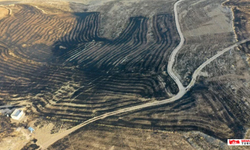 Diyarbakır'ın Çınar ile Mardin'in Mazıdağı ilçeleri arasında çıkan anız yangınında 4 ölü, 44 yaralı