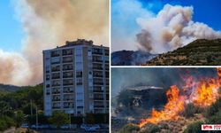 Bolu, Manisa ve İzmir'de Orman Yangını