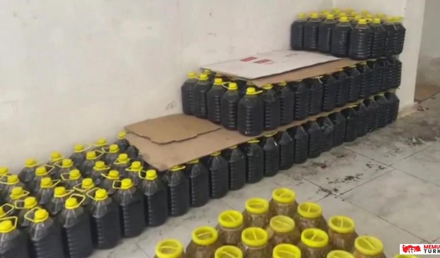 Mersin'de Sahte Zeytinyağı Operasyonu: 6 Ton 200 Kilogram Ele Geçirildi!