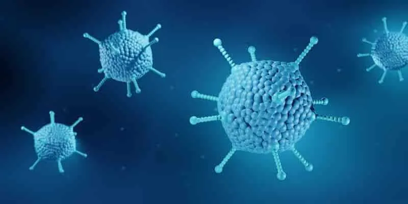 Okullarda Buyuk Tehlike Onlem Almayan Yanar Adenovirus Bulasma Yollari Ve Belirtileri1